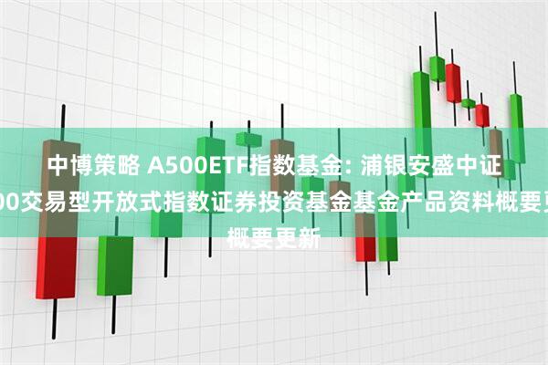 中博策略 A500ETF指数基金: 浦银安盛中证A500交易型开放式指数证券投资基金基金产品资料概要更新