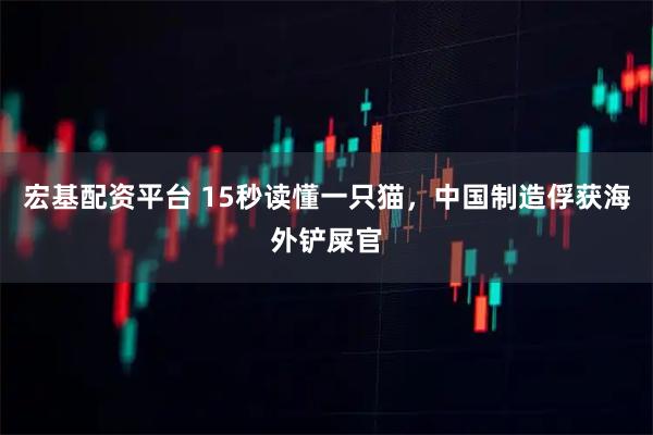 宏基配资平台 15秒读懂一只猫，中国制造俘获海外铲屎官